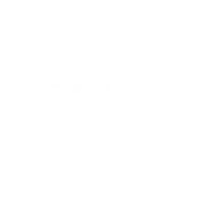 vaillant-logo
